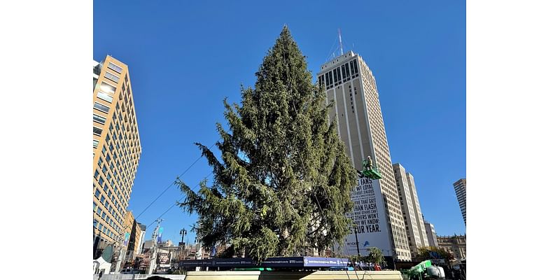 Michigan has one of the largest public Christmas trees on display in the country