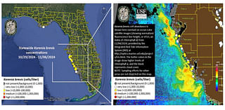 Red Tide Midweek Update for November 6, 2024