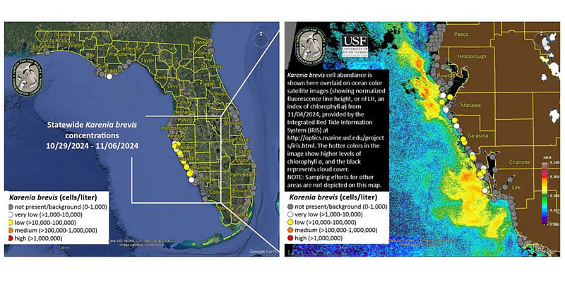 Red Tide Midweek Update for November 6, 2024