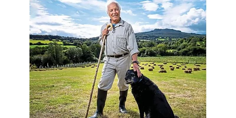 Erosion concerns in Wicklow Mountains National Park raised by ecologist Richard Nairn