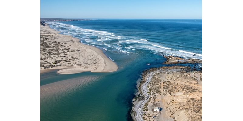 The surfer and tribal chief fighting to save a 550km South African coast