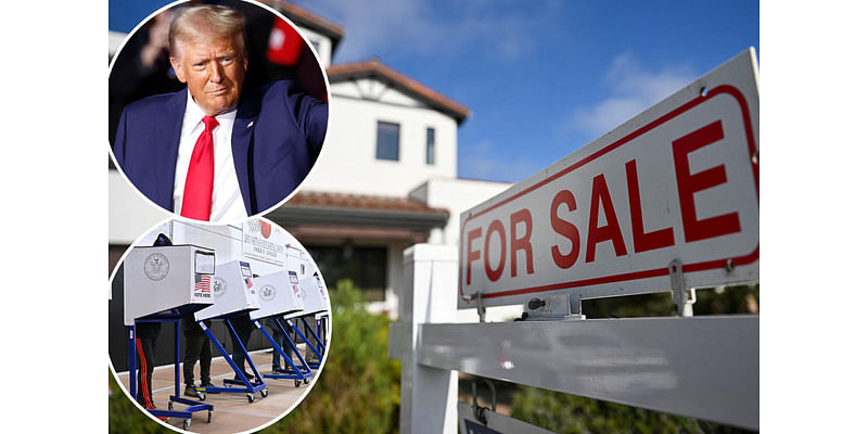 Trump voters prioritize basic needs over housing affordability in 2024 election: Report