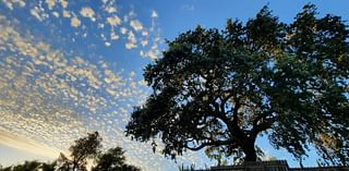 Heatwave continues for communities away from the coast through Tuesday