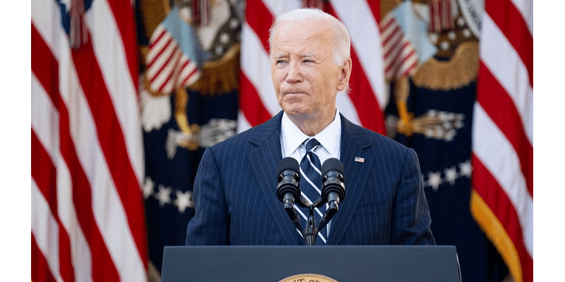 Biden promises 'peaceful transfer of power' amid Democratic blame game