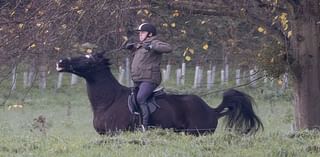 Prince Andrew is nearly thrown from his horse after it got spooked during early morning ride in Windsor