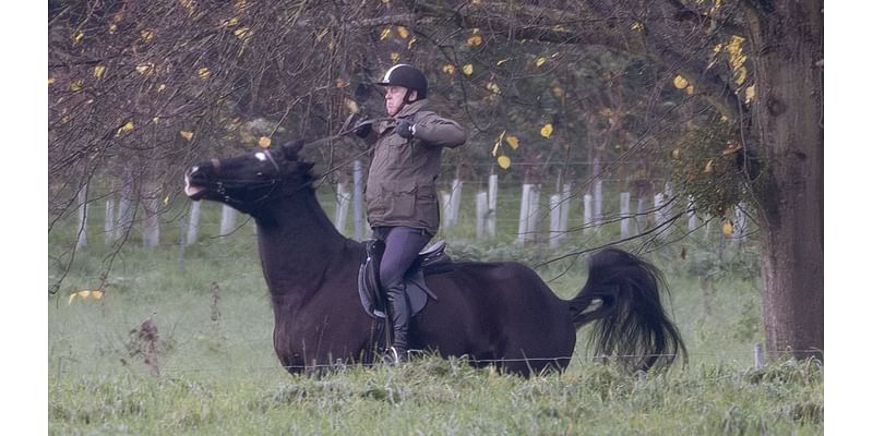 Prince Andrew is nearly thrown from his horse after it got spooked during early morning ride in Windsor