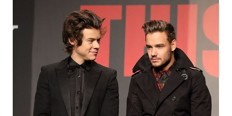 Harry Styles pays tribute to his 'warm, supportive and incredibly loving' bandmate Liam Payne as he says he's 'truly devastated' by his death aged 31