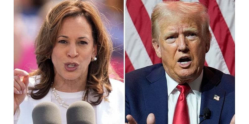 Harris v. Trump: It's anyone's race as Election Day arrives