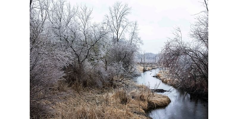 4 bridges over Portage Creek will see fixes in 2026