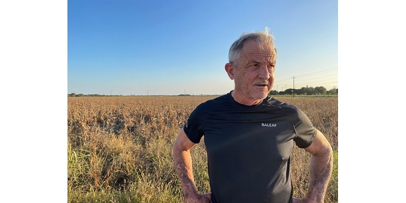 Change in international water treaty too late for one Texas farmer