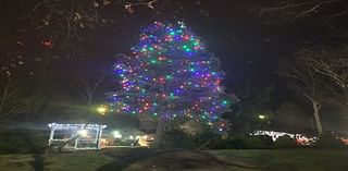 Christmas Parade, Decorating Competition Set In Lacey