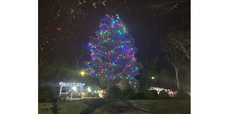 Christmas Parade, Decorating Competition Set In Lacey