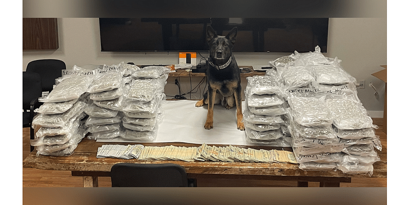 Woman arrested in connection to Lafourche Parish drug bust