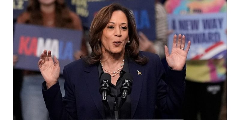 Harris to hecklers at rally: ‘I think you meant to go to the smaller one down the street’