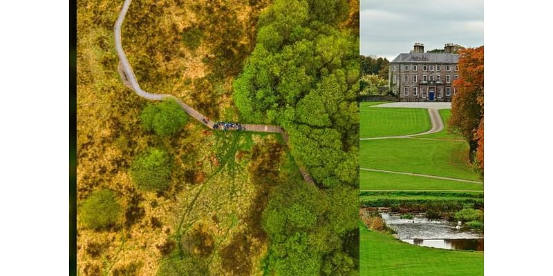 Wildlife and biodiversity wonders in Ballyhoura: What to look for in your next adventure