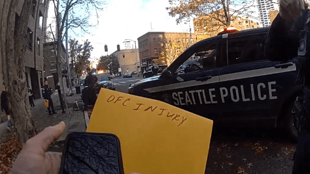 Seattle police: Man attacks officers, tries to steal service weapon