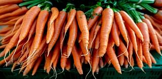 Deadly E. coli outbreak linked to organic carrots sold in multiple states, including Ohio