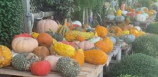 Wood County pumpkin patch invites families to engage with fall traditions