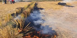 Satellite Data Shows Punjab Farm Fires Lowest In 3 Years