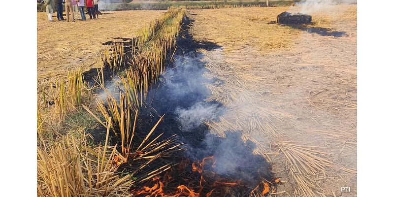 Satellite Data Shows Punjab Farm Fires Lowest In 3 Years