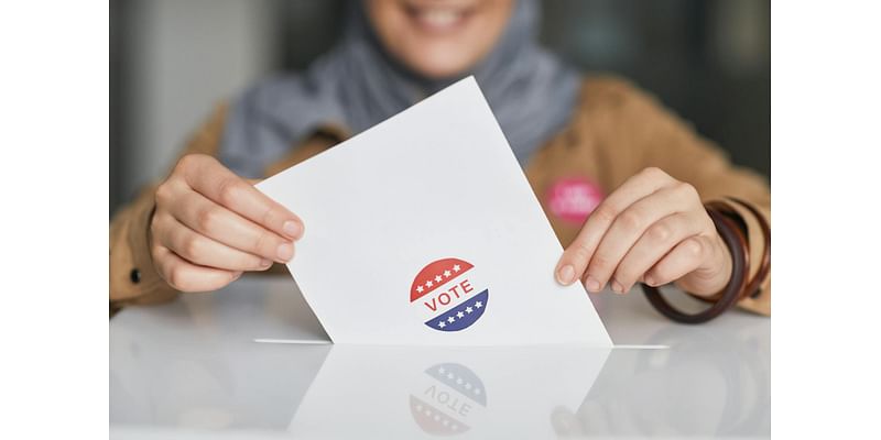 Election literacy events designed to break down the election process