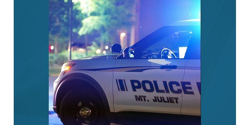 Mt. Juliet police arrest two teens, return car stolen out of Jackson