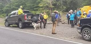 Third set of human remains found in national forest