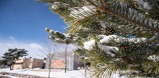 Los Alamos Campus Closed Today