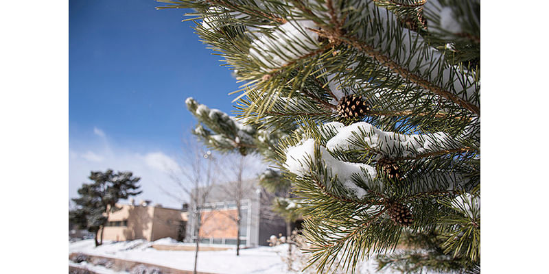 Los Alamos Campus Closed Today