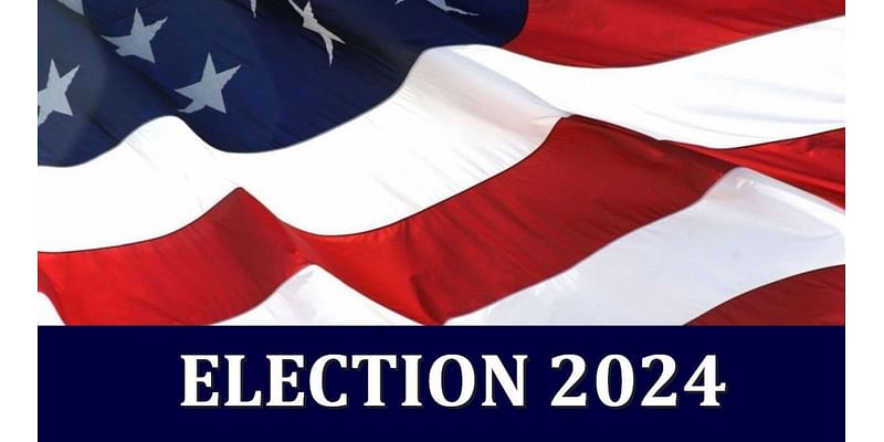 Election 2024: What you need to know before you head to the polls