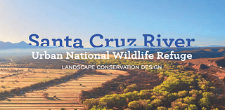 Arizona is a step closer to its 1st urban national wildlife refuge. Here's what's next