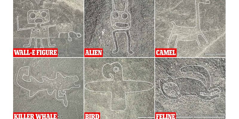 More than 300 mysterious Nazca glyphs are discovered in Peru - including a Wall-E-style person, alien-like figures, and killer whales with KNIVES