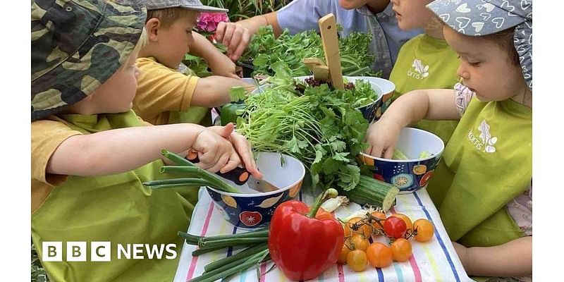 Tinned tuna: Acorns Nurseries ban over mercury levels concern