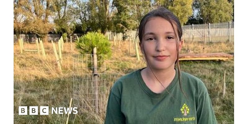 Phone ban helping young people from Hull get back to nature