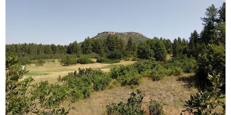 Explore 6 open spaces in neighboring Douglas County