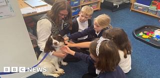 Therapy dog helps mental wellbeing of Selby school pupils