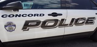 Epsom, Grafton Women Arrested On Theft Charges: Concord Police Log