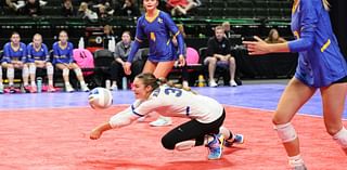 Seven players to watch at the volleyball state tournament at Xcel Energy Center