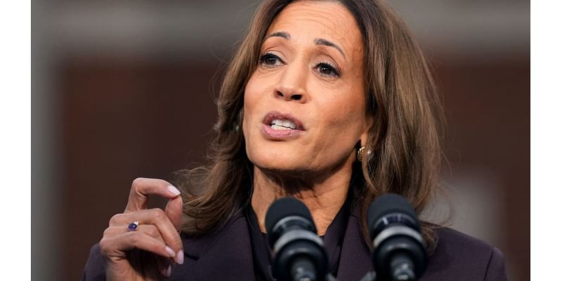 Kamala Harris sees support for potential CA governor run in new poll