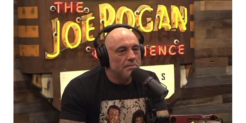 Joe Rogan warned President-elect Donald Trump not to attack his haters on the left: 'Let them all talk their s---'