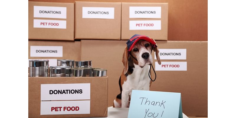 Donate to College Park Pet Food Pantry for pets in need