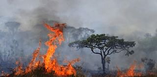 PHOTO COLLECTION: Climate Extreme Weather Wildfires