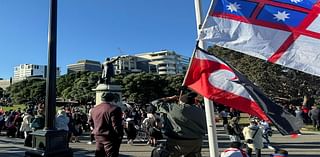 New Zealand parliament debates controversial bill as protesters march on capital