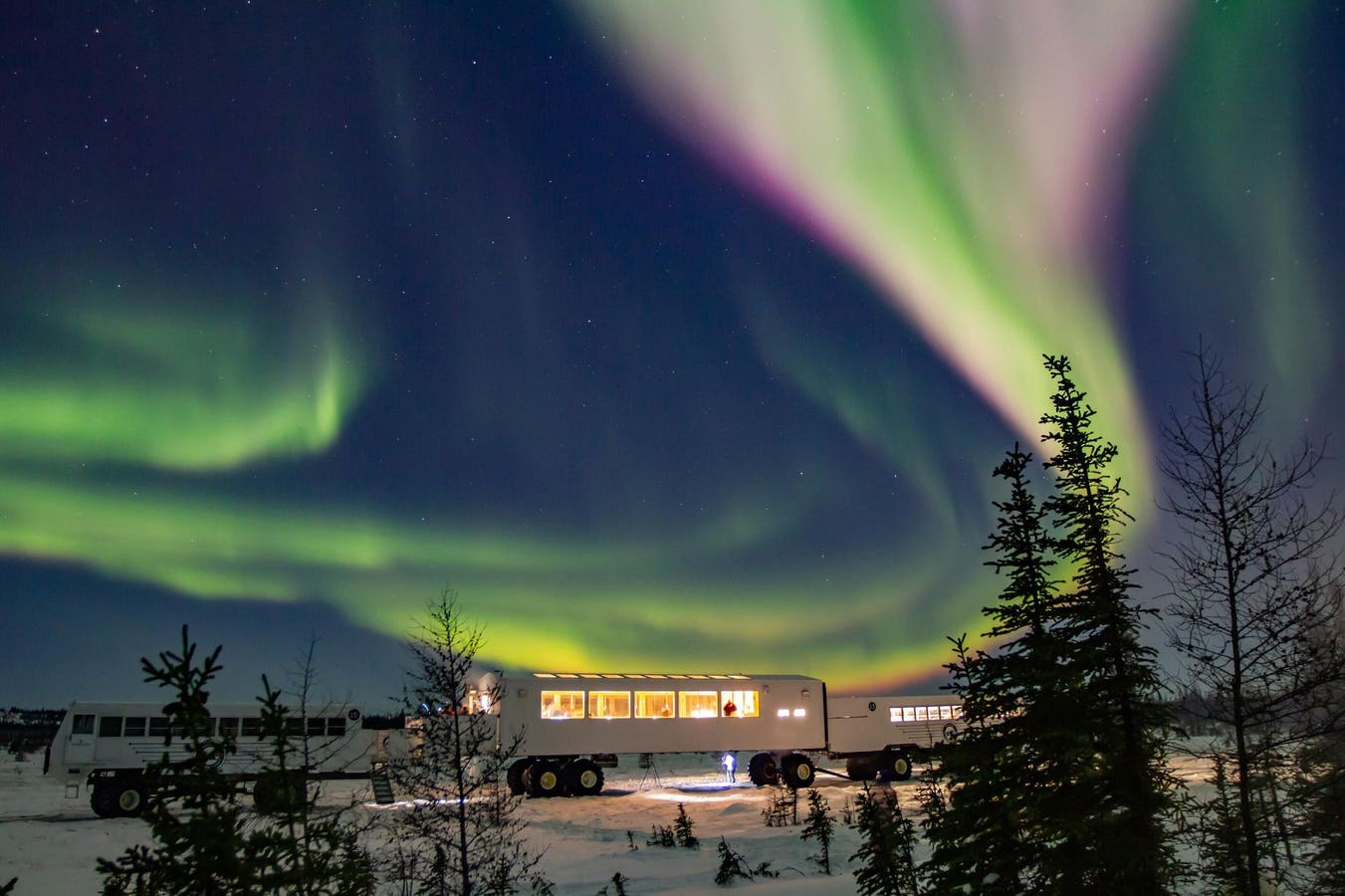 How An Arctic Town With More Polar Bears Than People Became A Culinary Destination