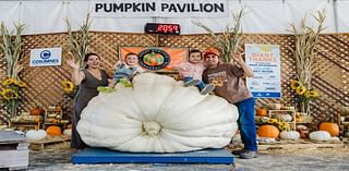 This giant pumpkin came from Napa to win Elk Grove’s annual fall competition