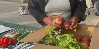 Queens non-profit offers free fresh produce boxes to community members