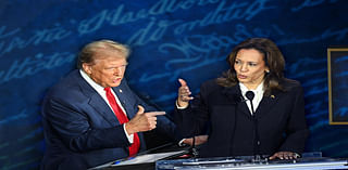 Kamala Harris, Donald Trump and America's long history of racist disinformation