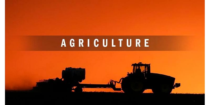 Farm and Food: Tough 2024 gets tougher