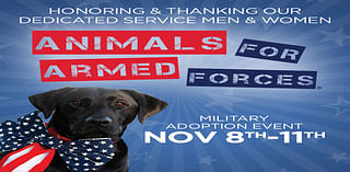 Animals for Armed Forces Salutes Military With Sponsored Adoptions!