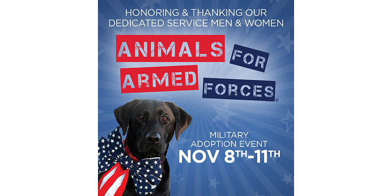 Animals for Armed Forces Salutes Military With Sponsored Adoptions!